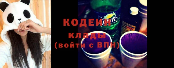 сатива Кодинск