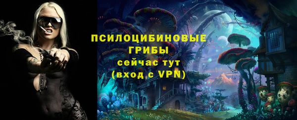 mix Козловка